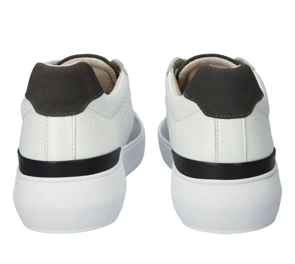 Blackstone Bg166 white grey