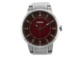 Fossil horlogeband FS4901