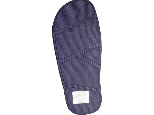 Havaianas slipper blauw
