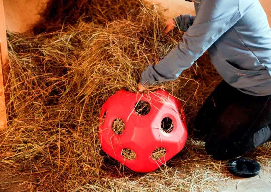 Voeder/speel bal rood